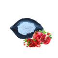 Ellagic Acid 99% Cosmetic Raw Material Pomegranate Peel Extract CAS 476-66-4 Ellagic Acid